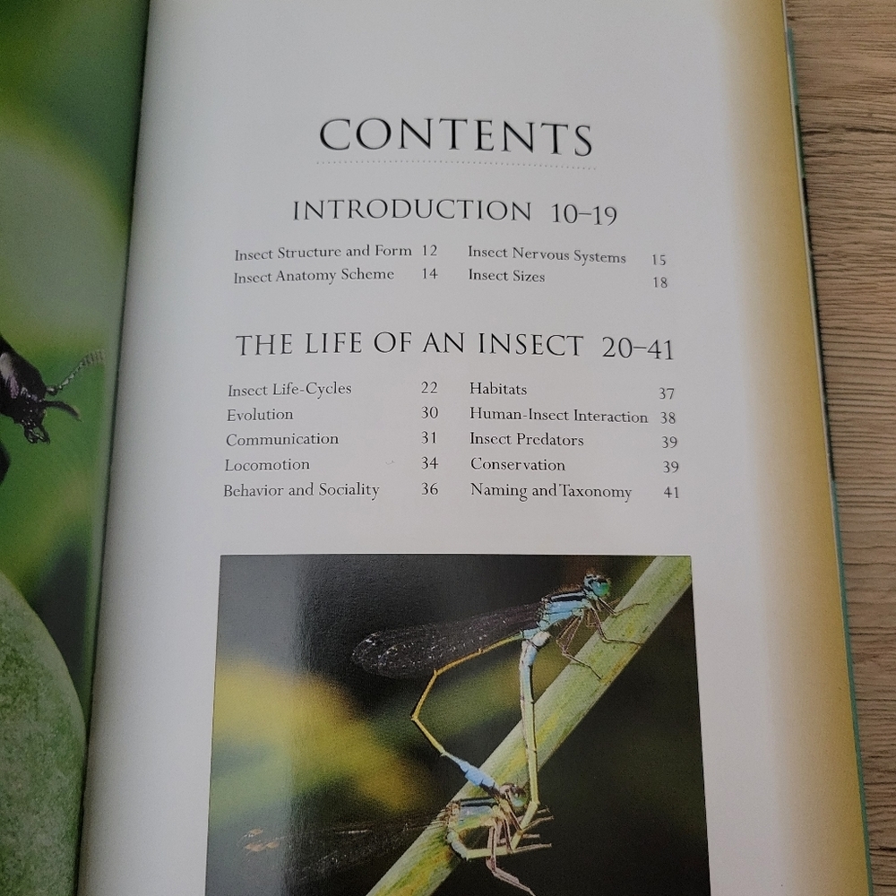⭐️ A Pocket Guide to Insects - Picture 4 of 5